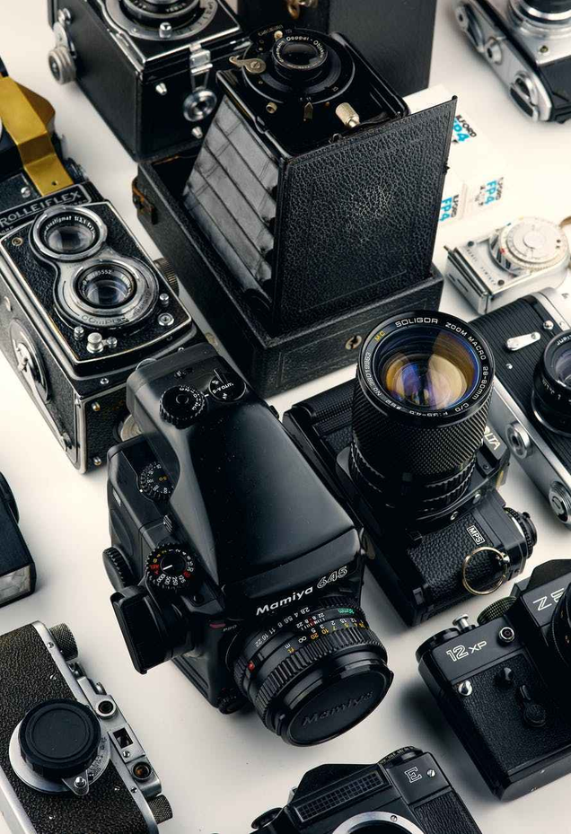 Photo by Alex Andrews on Pexels.com